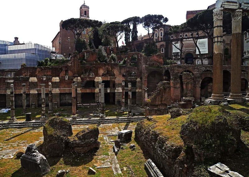 Colosseum, Forum & Palatine Hill Guided Walking tour - Palatine Hill: Myth, Imperial Residences, and Views Over Rome