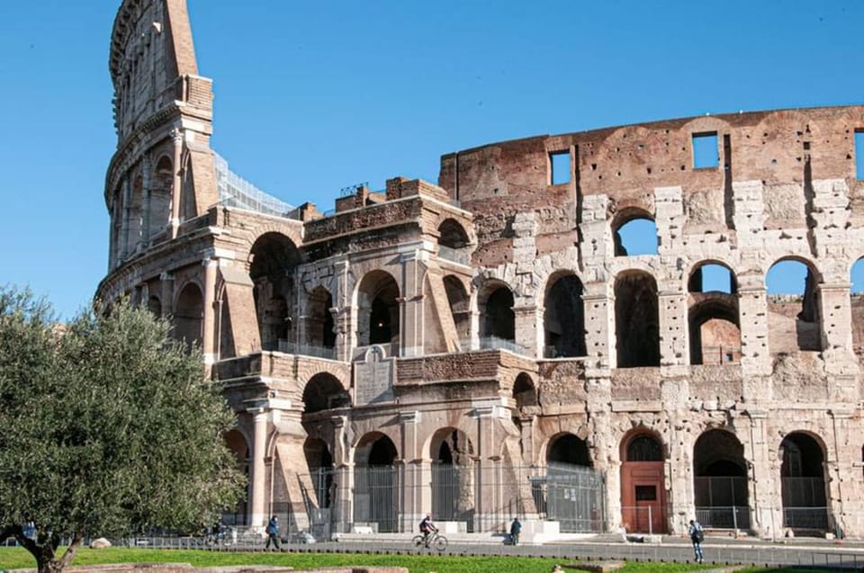 Colosseum with Arena, Forum, & Palatine Hill with Audioguide - Colosseum highlights: first ring access and the view from above