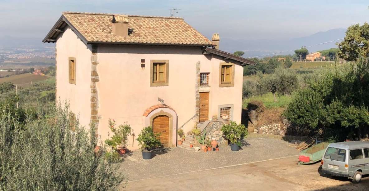 Frascati Wine Road from Rome: Tasting & Lunch - Key Points to Know Before You Go