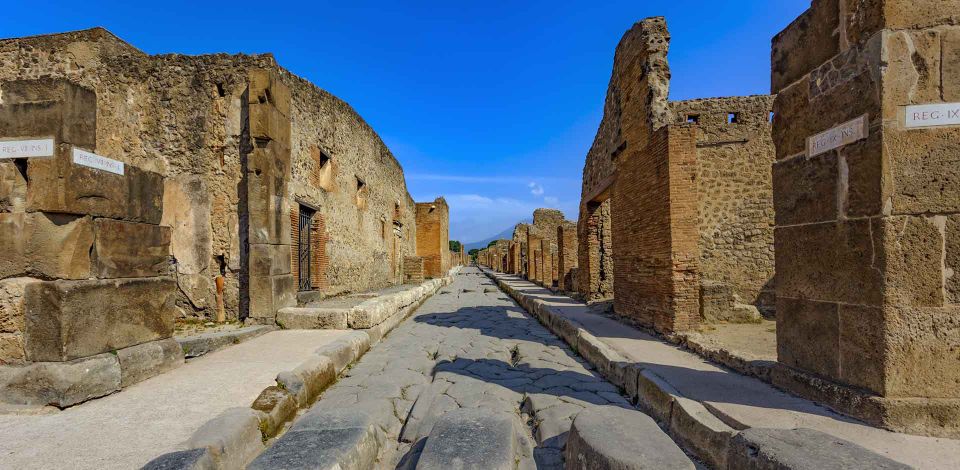 From Rome: Pompeii Day Trip by Fast Train and Car - House of the Faun: Pompeii’s Big-Statement Home