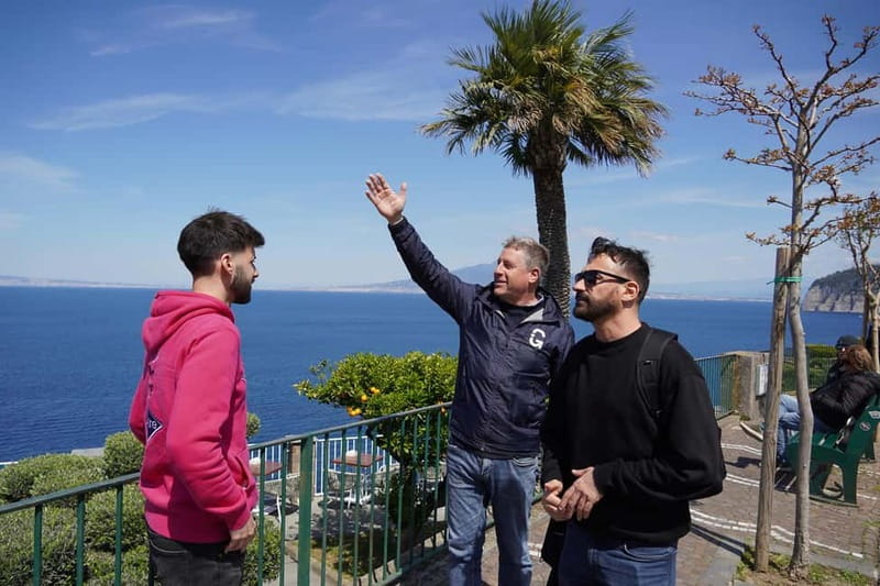From Rome: Sorrento & Pompeii Day Trip with Guide or Ticket - The Rome-to-Campania drive: scheduled breaks and the Sorrento stop