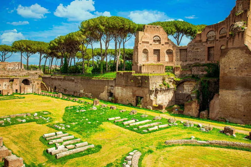 Guided Tour of the Colosseum Palatine Hill and Roman Forum - Small group and Arena upgrades: choosing the right level of access