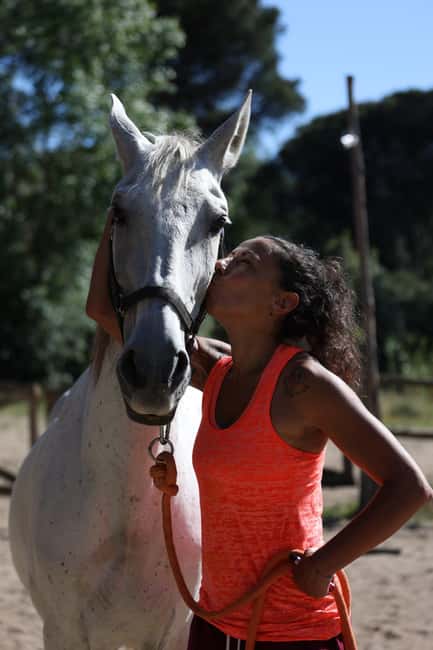 Horse Sanctuary in Rome - Key highlights you’ll feel immediately