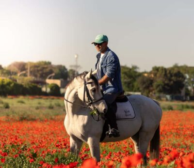 Horse Sanctuary in Rome - Meeting point ritual: croissant, coffee, then horses