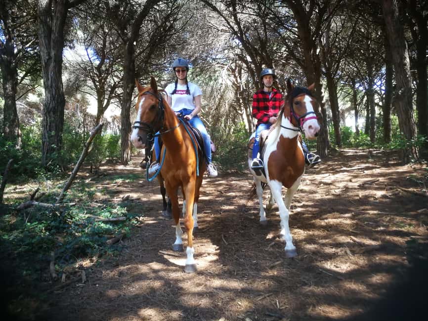 Horse Sanctuary in Rome - The horseback trail near Rome: pacing, pinewood, and calm progress
