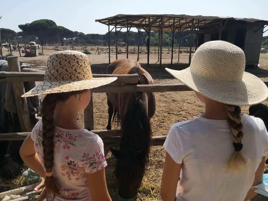 Horse Sanctuary in Rome - Roman Empire ruins on horseback: how history fits without killing the vibe