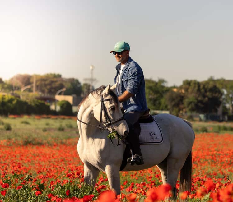 Horse Sanctuary in Rome - Meeting point ritual: croissant, coffee, then horses