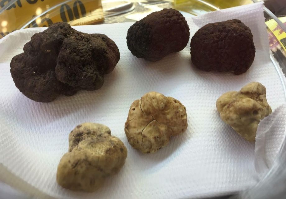 Rome: Award-Winning Roman Food Tours - Price and Value: Why $17 Can Actually Work in Rome