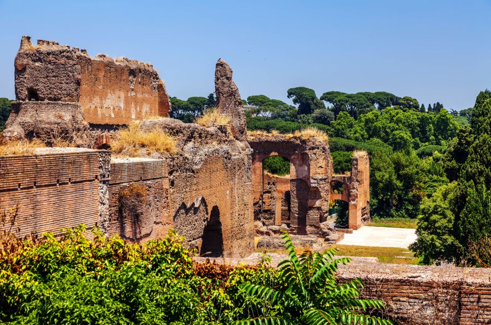 Rome: Caracalla, Colosseum, Circus Maximus Private Tour - Key Things I’d Highlight Before You Go