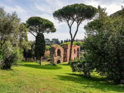 Rome: Colosseum Arena, Palatine Hill & Forum Guided Tour - What You See Inside: Senator Seats, Trap Doors, and the Underground