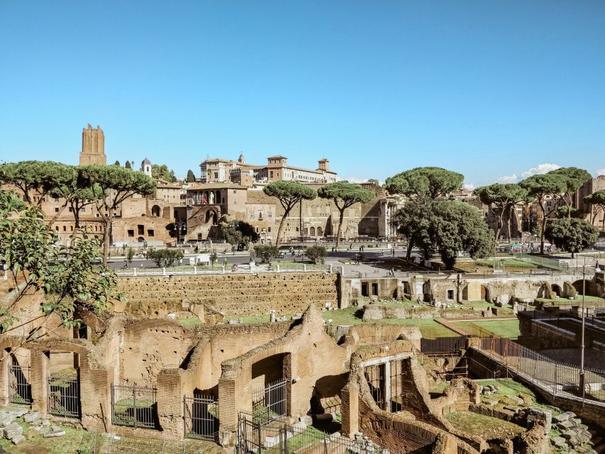 Rome: Colosseum, Roman Forum And Palatine Hill Guided Tour - Meeting Near the Colosseum: Getting There Without Losing Time