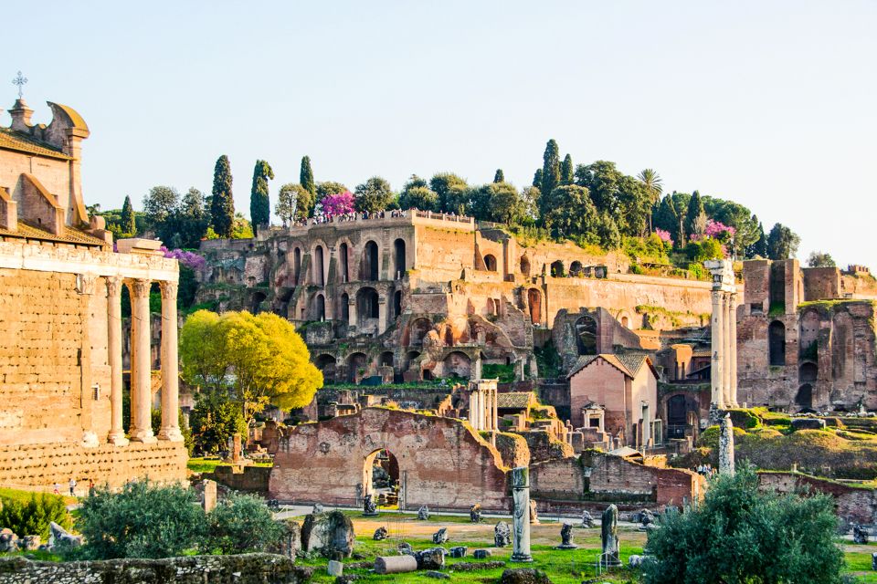 Rome: Colosseum, Roman Forum And Palatine Hill Guided Tour - Bring These Items and Plan for Real Walking