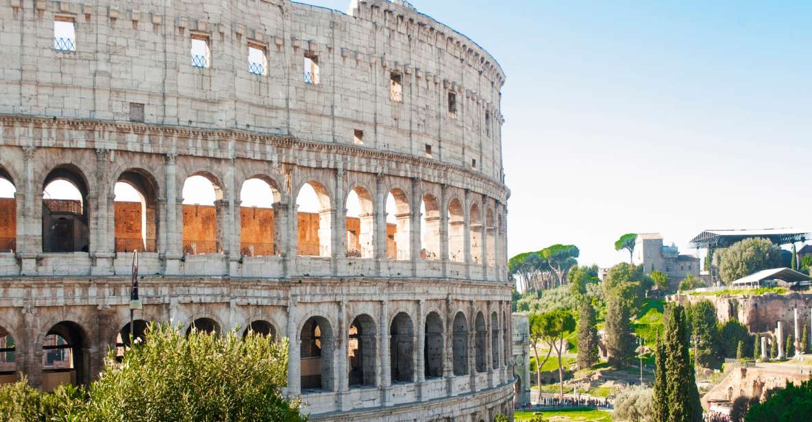 Rome: Colosseum, Roman Forum & Palatine Hill Tour - Colosseum: gladiator stories, levels of the arena, and why it feels bigger in person