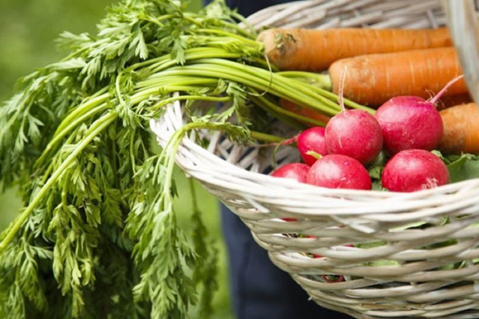 Rome: Cooking Lesson to learn the Secrets of Italian Cuisine - Key Things You’ll Notice Right Away