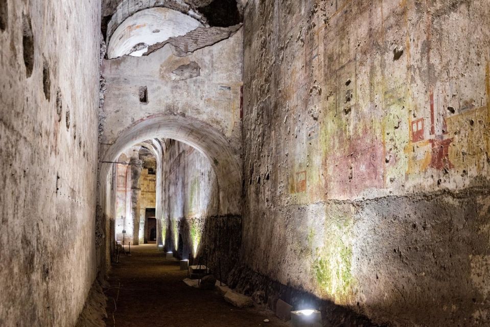 Rome: Domus Aurea Guided Group Tour - Price and value: what $55 really buys you
