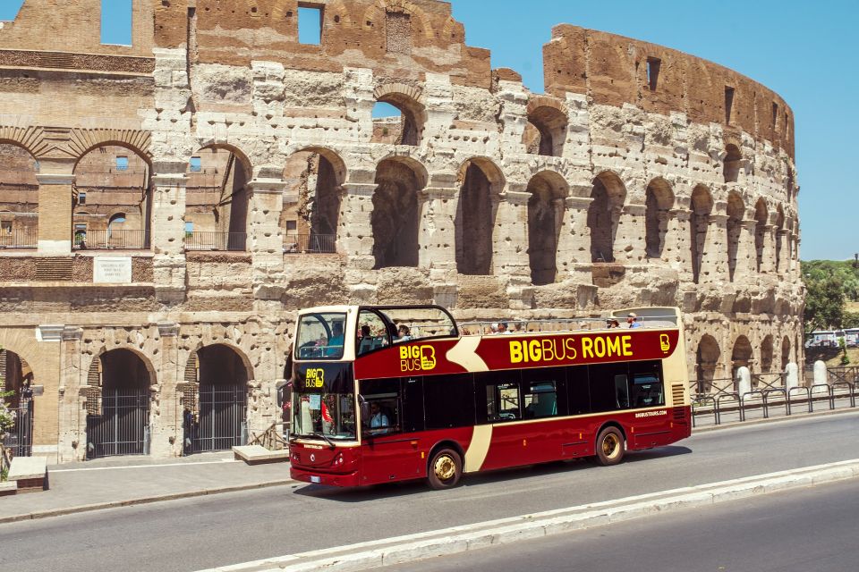 Rome: Hop-On Hop-Off Bus and Optional Cruise Port Transfer - Accessibility Notes: Wheelchair-Friendly Buses, Steps at Boarding