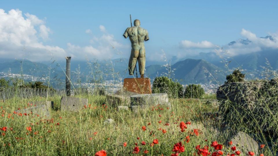 Rome: Pompeii Tour with Wine and Lunch by High Speed Train - The Rome to Pompeii plan that actually saves your day
