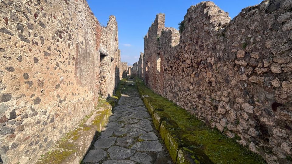 Rome: Pompeii Tour with Wine and Lunch by High Speed Train - Timing and pacing: bringing water and staying realistic