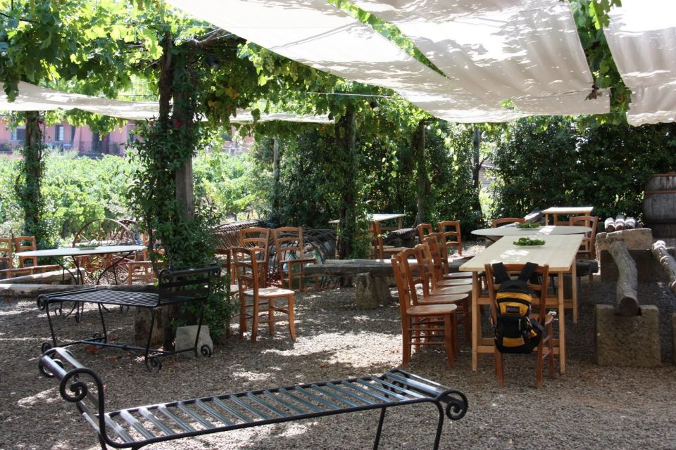 Rome: Private Castelli Romani Wine Tasting Tour - Meeting the winemakers: why the private setup feels personal