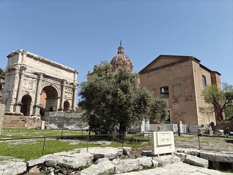 Rome: Roman Forum Myths and Legends Private Guided Tour - Roman Forum guided walk: myths and legends that match what you see